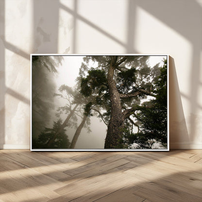 87969493-MGV-FC-36X24_White-Forest Wall Art – Misty Tall Trees Canvas Print, Dramatic Woodland Photography Decor for Bedroom, Living Room, Office, Cabin,