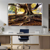 53335-MGV-CV-36X24-Majestic Tree with Sprawling Roots Wall Art – Serene Sunlit Park Scene, Nature Canvas Print, Perfect for Living Room, Office or