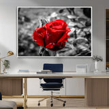 84671-MGV-FC-36X24_White-Red Rose Wall Art – Vibrant Single Bloom Canvas Print with Black and White Background, Elegant Floral Decor for Living Room,