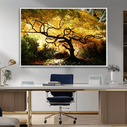 19067-MGV-FC-36X24_White-Golden Canopy Wall Art – Panoramic Autumn Tree Canvas Print, Warm Seasonal Decor for Living Room, Office or Garden Space