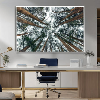18790-MGV-CV-36X24-Pine Canopy Wall Art – Panoramic View of Towering Pines Canvas Print, Nature-Inspired Decor for Office, Cabin or Living Room