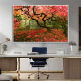 73343-MGV-CV-36X24-Autumn Maple Wall Art – Panoramic Vibrant Red Maple Tree Canvas Print, Seasonal Nature Decor for Office, Living Room or Garden