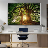 52150-MGV-FC-36X24_White-Majestic Tree Wall Art – Large Nature Canvas Print with Sunlight Through Branches, Rustic Forest Decor for Living Room, Bedroom or