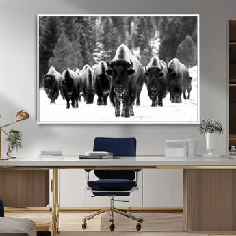 62434-MGV-CV-36X24-Bison Herd Wall Art – Majestic Black and White Buffalo Canvas Print, Wildlife Nature Photography Decor for Living Room, Office or