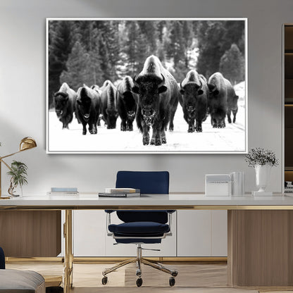 62434-MGV-CV-36X24-Bison Herd Wall Art – Majestic Black and White Buffalo Canvas Print, Wildlife Nature Photography Decor for Living Room, Office or