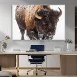 65605-MGV-FC-36X24_White-Snow Bison Wall Art – Close Up Buffalo Canvas Print, Rustic Western Wildlife Photography, Farmhouse Cabin Lodge Decor for Living