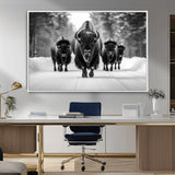 45287-MGV-CV-36X24-Bison Herd Wall Art – Black and White Buffalo Snow Road Canvas Print, Rustic Wildlife Decor for Cabin, Lodge or Living Room