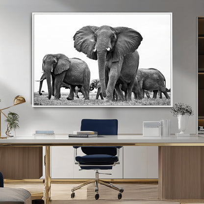 91685-MGV-CV-36X24-Elephant Herd Wall Art – Black and White Safari Canvas Print, African Wildlife Photography Decor for Living Room, Office or