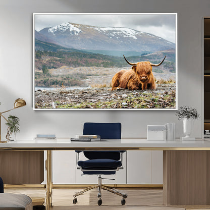 80252-MGV-FC-36X24_White-Scottish Cow Wall Art Canvas Print, Framed Highland Cow Art Picture Print, Highland Cattle Perfect Rustic Farmhouse Decor Artwork