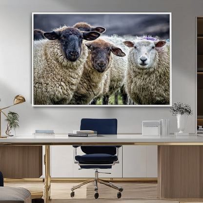 18418-MGV-FC-36X24_White-Sheep Wall Art Canvas Print, Framed Farmhouse Sheep Art Picture Print, Sheep Herd Perfect Rustic Farmhouse Decor Artwork