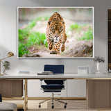 75066-MGV-CV-36X24-Leopard Wall Art Canvas Print, Framed Wild Animal Art Picture Print, Blue Eye Leopard Perfect Wild Minimal Decor Artwork
