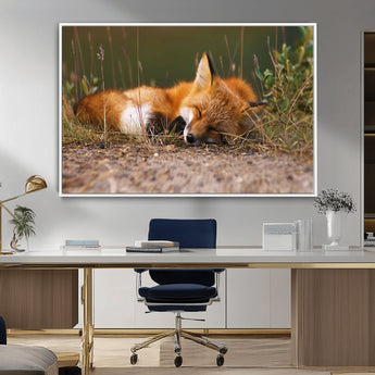 25085-MGV-FC-36X24_White-Sleeping Fox Wall Art Canvas Print, Framed Rustic Fox Art Picture Print, Wildlife Animal Perfect Rustic Farmhouse Decor Artwork