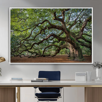 MGV-FC-36X24 - Historic Tree Wall Art Canvas Print, Framed Mossy Tree Art Picture Print, Twisted Branches Perfect Nature Southern Decor Artwork