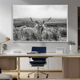 24051061-MGV-CV-36X24-Monochrome Highland Cow Wall Art Canvas Print, Framed Scottish Bull Art Picture Print, Lone Cattle Perfect Rustic Farmhouse Decor