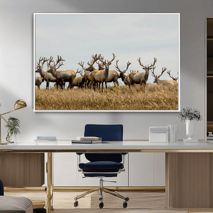 42170220-MGV-CV-36X24-Elk Herd Wall Art Canvas Print, Framed Wildlife Photography Art Picture Print, Majestic Antlers Perfect Rustic Wildlife Decor