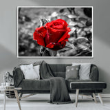 84671-MGV-CV-36X24-Red Rose Wall Art – Vibrant Single Bloom Canvas Print with Black and White Background, Elegant Floral Decor for Living Room,