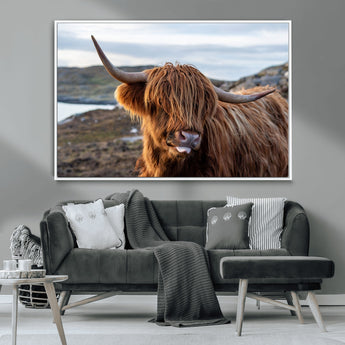 71222-MGV-CV-36X24-A playful Highland cow with shaggy fur sticks out its tongue, set against a rugged landscape — perfect for quirky home or office