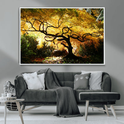 19067-MGV-CV-36X24-Golden Canopy Wall Art – Panoramic Autumn Tree Canvas Print, Warm Seasonal Decor for Living Room, Office or Garden Space