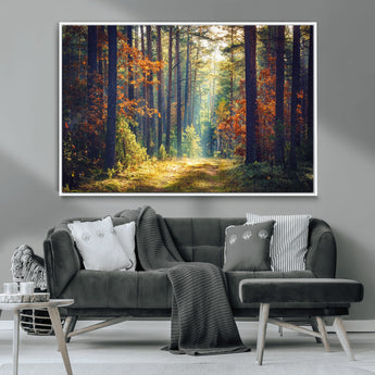86249-MGV-CV-36X24-Sunlit Autumn Forest Path Wall Art – Peaceful Nature Scene with Fall Foliage, Calming Woods Decor for Home or Office