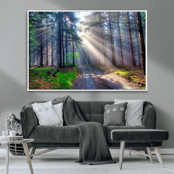 42047-MGV-CV-36X24-Sunlit Forest Path Wall Art – Nature Canvas Print, Serene Woodland Landscape, Perfect Home & Office Decor for Calm and Tranquil