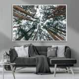 18790-MGV-CV-36X24-Pine Canopy Wall Art – Panoramic View of Towering Pines Canvas Print, Nature-Inspired Decor for Office, Cabin or Living Room