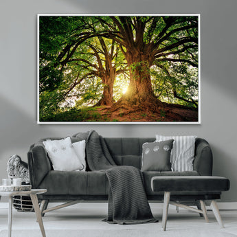 52150-MGV-CV-36X24-Majestic Tree Wall Art – Large Nature Canvas Print with Sunlight Through Branches, Rustic Forest Decor for Living Room, Bedroom or