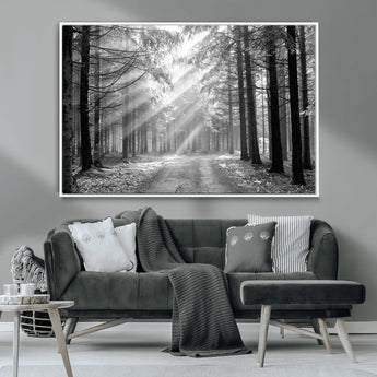 39665-MGV-CV-36X24-Black and White Forest Path Wall Art – Sunlight Rays in Trees Canvas Print, Nature Landscape Decor for Living Room