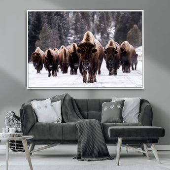 66871-MGV-CV-36X24-Bison Herd Wall Art – Wildlife Buffalo Canvas Print, Rustic Western Nature Photography Decor for Living Room, Office, Cabin, or