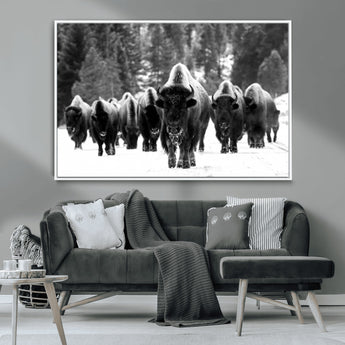 62434-MGV-CV-36X24-Bison Herd Wall Art – Majestic Black and White Buffalo Canvas Print, Wildlife Nature Photography Decor for Living Room, Office or