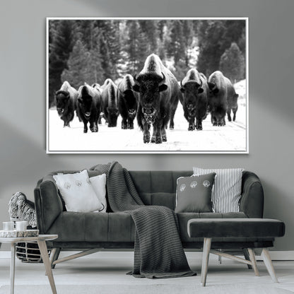 62434-MGV-CV-36X24-Bison Herd Wall Art – Majestic Black and White Buffalo Canvas Print, Wildlife Nature Photography Decor for Living Room, Office or