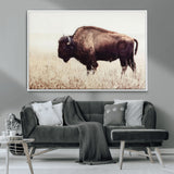 48406-MGV-CV-36X24-American Bison Wall Art – Rustic Buffalo Canvas Print in Prairie Field, Western Wildlife Photography Decor for Cabin, Lodge,
