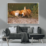 25085-MGV-CV-36X24-Sleeping Fox Wall Art Canvas Print, Framed Rustic Fox Art Picture Print, Wildlife Animal Perfect Rustic Farmhouse Decor Artwork