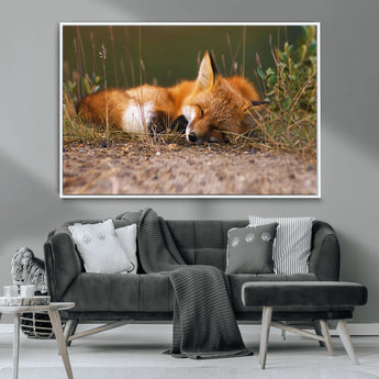 25085-MGV-CV-36X24-Sleeping Fox Wall Art Canvas Print, Framed Rustic Fox Art Picture Print, Wildlife Animal Perfect Rustic Farmhouse Decor Artwork