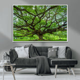 49375306-MGV-CV-36X24-Ancient Tree Wall Art Canvas Print, Framed Sprawling Branches Art Picture Print, Gnarling Tree Perfect Earthy Natural Decor