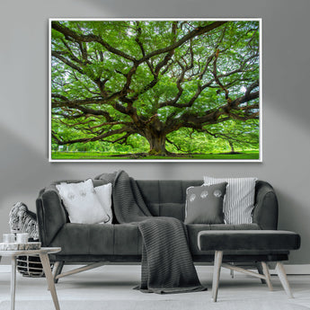 49375306-MGV-CV-36X24-Ancient Tree Wall Art Canvas Print, Framed Sprawling Branches Art Picture Print, Gnarling Tree Perfect Earthy Natural Decor
