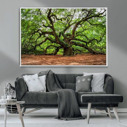 51255351-MGV-CV-36X24-Ancient Tree Wall Art – Majestic Oak Canvas Print, Large Nature Photography, Sacred Forest Landscape Wall Décor, Wisdom Tree