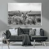 24051061-MGV-CV-36X24-Monochrome Highland Cow Wall Art Canvas Print, Framed Scottish Bull Art Picture Print, Lone Cattle Perfect Rustic Farmhouse Decor