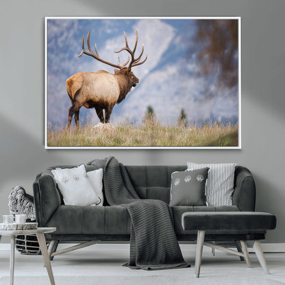 26365841-MGV-CV-36X24-Mountain Elk Art Wall Art Canvas Print, Framed Rustic Wildlife Print Art Picture Print, Lodge Style Decor Perfect Rustic Lodge