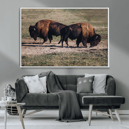 58141885-MGV-CV-36X24-Bison Photography Wall Art Canvas Print, Framed Western Wildlife Art Picture Print, Modern Ranch Perfect Western Rustic Decor