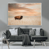 20306324-MGV-CV-36X24-Bison Wall Art – Lone American Buffalo Prairie Sunset Canvas Print, Rustic Western Wildlife Photography Decor for Living Room,