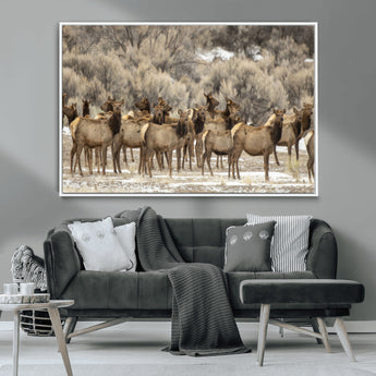 93076148-MGV-CV-36X24-Elk Herd Wall Art – Wildlife Canvas Print of Elk in Winter Landscape, Rustic Western Cabin & Lodge Décor, Nature Photography for