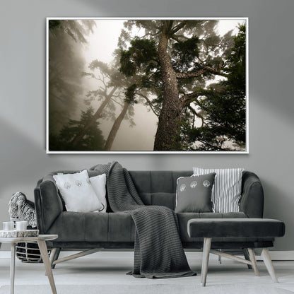 87969493-MGV-CV-36X24-Forest Wall Art – Misty Tall Trees Canvas Print, Dramatic Woodland Photography Decor for Bedroom, Living Room, Office, Cabin,
