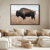 34451925-MGV-FC-36X24_Walnut-Rustic Bison Decor Wall Art Canvas Print, Framed Buffalo Home Accent Art Picture Print, Prairie Wildlife Scene Perfect Western