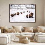 13891210-MGV-FC-36X24_Walnut-Bison Herd Scene Wall Art Canvas Print, Framed Western Wildlife Decor Art Picture Print, Snowy Mountain Valley Perfect Rustic