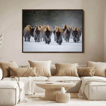 41669135-MGV-FC-36X24_Walnut-Bison Herd Scene Wall Art Canvas Print, Framed Rustic Wildlife Decor Art Picture Print, Snowy Bison Landscape Perfect Rustic