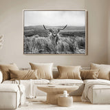 24051061-MGV-FC-36X24_Natural-Monochrome Highland Cow Wall Art Canvas Print, Framed Scottish Bull Art Picture Print, Lone Cattle Perfect Rustic Farmhouse Decor