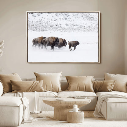 56216945-MGV-FC-36X24_Natural-Bison Herd Decor Wall Art Canvas Print, Framed Snowy Bison Scene Art Picture Print, Winter Wildlife Theme Perfect Rustic Western