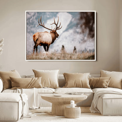 70489411-MGV-FC-36X24_White-Elk Photography Wall Art Canvas Print, Framed Mountain Wildlife Art Picture Print, Rustic Nature Decor Perfect Rustic Lodge Decor