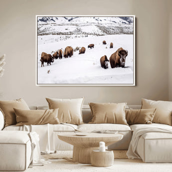 13891210-MGV-FC-36X24_White-Bison Herd Scene Wall Art Canvas Print, Framed Western Wildlife Decor Art Picture Print, Snowy Mountain Valley Perfect Rustic