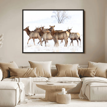 68738684-MGV-FC-36X24_Black-Winter Elk Scene Wall Art Canvas Print, Framed Wildlife Photography Art Picture Print, Snowy Deer Decor Perfect Rustic Lodge Decor
